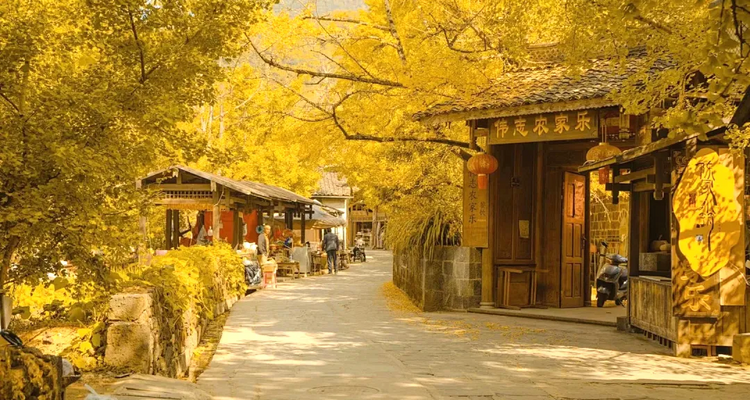 【又见云南 · 滇西大环线11日】大理+芒市瑞丽+腾冲+银杏村+怒江独龙江+纹面女+丙中洛+梅里雪山+沙溪+南涧土林+樱花谷+8人精品小团