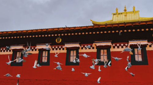 【遇见甘南·甘南晒大佛7日】郎木寺晒佛节+西仓寺亮宝节+拉卜楞寺酥油灯节+扎尕那+尕海湖+米拉日巴佛阁+纳摩大峡谷徒步+八坊十三巷+兰州集散+24h接机/站服务+2-8人&28人精品团+深度户外纯玩7日游