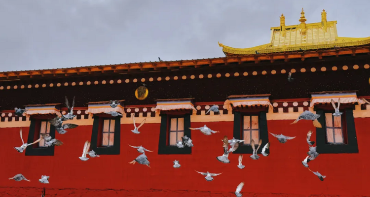 【遇见甘南·甘南晒大佛7日】郎木寺晒佛节+西仓寺亮宝节+拉卜楞寺酥油灯节+扎尕那+尕海湖+米拉日巴佛阁+纳摩大峡谷徒步+八坊十三巷+兰州集散+24h接机/站服务+2-8人&28人精品团+深度户外纯玩7日游