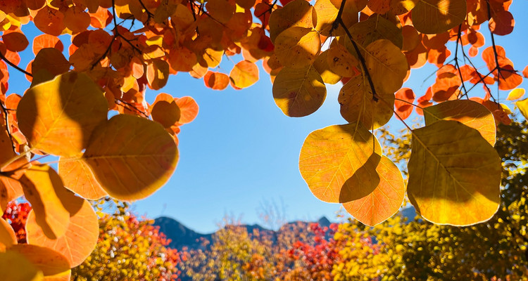 【北京一周一山·坡峰岭】休闲丨6公里丨国家地理推荐+年度红叶观赏区+休闲赏秋摄影