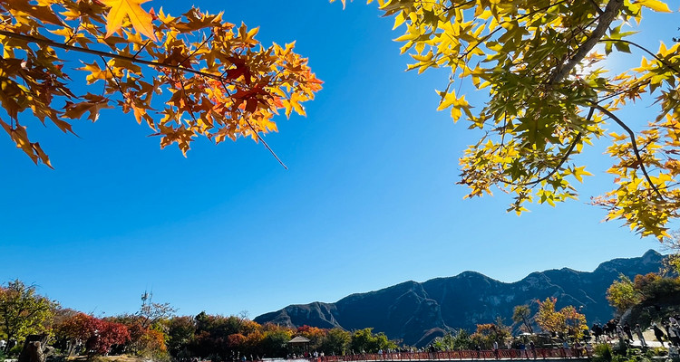 【北京一周一山·坡峰岭】休闲丨6公里丨国家地理推荐+年度红叶观赏区+休闲赏秋摄影