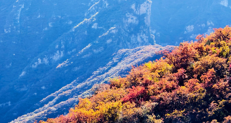【北京一周一山·坡峰岭】休闲丨6公里丨国家地理推荐+年度红叶观赏区+休闲赏秋摄影