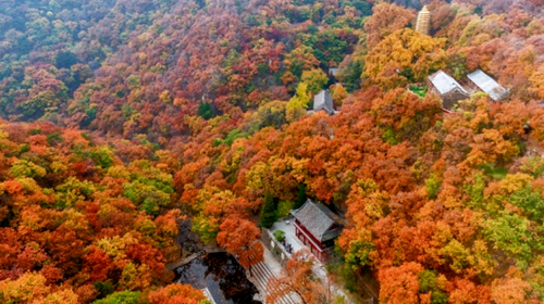 【北京一周一山·蓟州盘山】门票半价特惠！休闲丨8公里徒步丨去盘山捡个“秋日童话”+秋日登山赏景+红叶漫山美到窒息！！