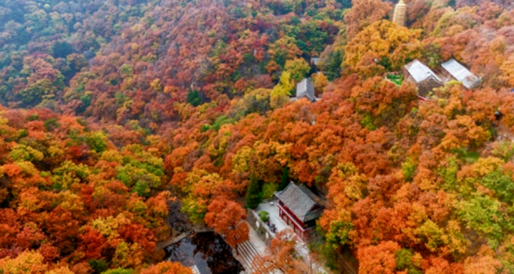 【北京一周一山·蓟州盘山】门票半价特惠！休闲丨8公里徒步丨去盘山捡个“秋日童话”+秋日登山赏景+红叶漫山美到窒息！！