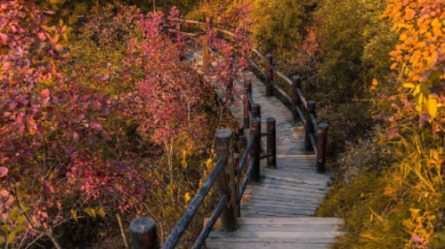 【北京一周一山·蓟州盘山】门票半价特惠！休闲丨8公里徒步丨去盘山捡个“秋日童话”+秋日登山赏景+红叶漫山美到窒息！！