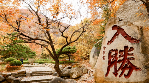 【北京一周一山·蓟州盘山】门票半价特惠！休闲丨8公里徒步丨去盘山捡个“秋日童话”+秋日登山赏景+红叶漫山美到窒息！！