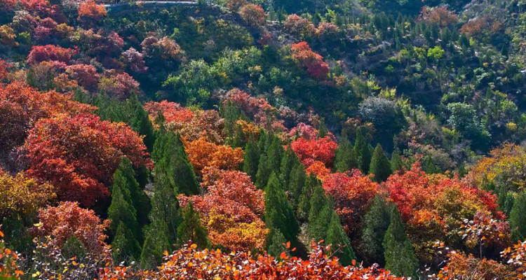 【北京一周一山·蓟州盘山】门票半价特惠！休闲丨8公里徒步丨去盘山捡个“秋日童话”+秋日登山赏景+红叶漫山美到窒息！！