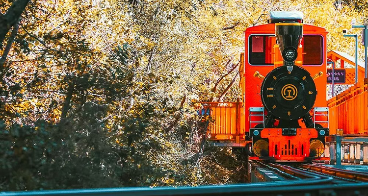 【北京一周一山·黄花城水长城】休闲级丨6公里丨观长城青灵俊秀+看满山层林浸染+翠绿、金黄、火红交织的绚丽秋色~