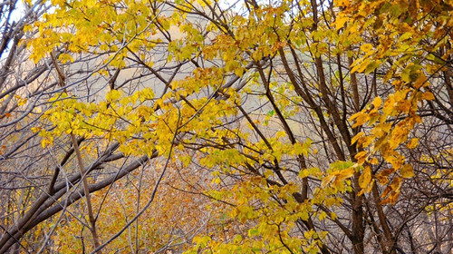 【北京一周一山·莲花滩 】休闲丨10公里丨童话森林里的漫步+奔向山谷秘境深处一线天+感受山野乐趣~