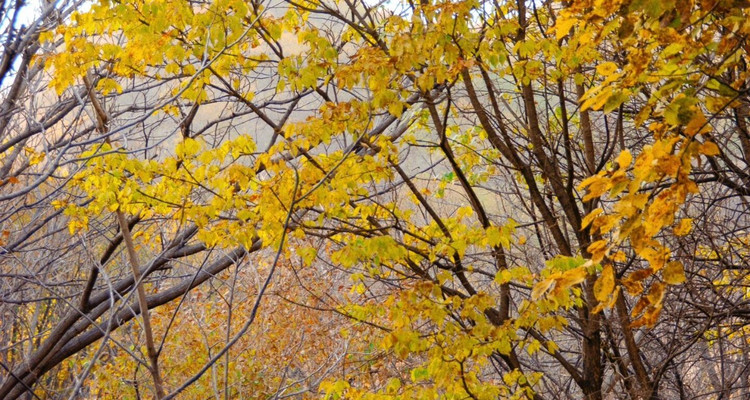 【北京一周一山·莲花滩 】休闲丨10公里丨童话森林里的漫步+奔向山谷秘境深处一线天+感受山野乐趣~