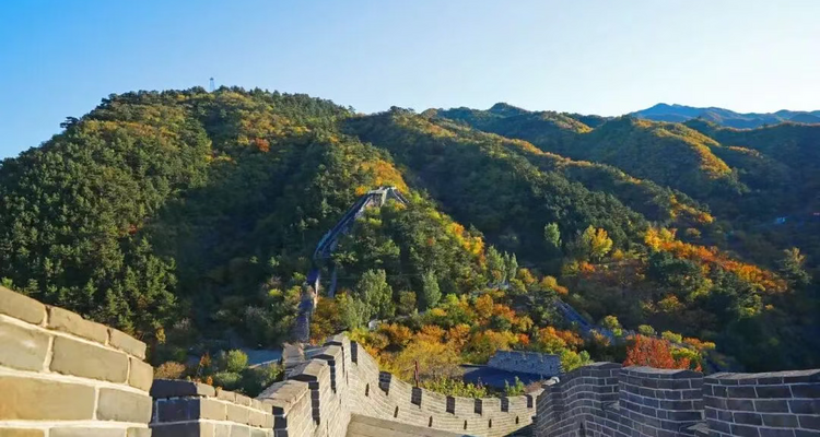 【北京一周一山·黄花城水长城】休闲级丨6公里丨观长城青灵俊秀+看满山层林浸染+翠绿、金黄、火红交织的绚丽秋色~