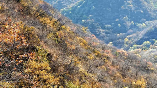 【北京一周一山·莲花滩 】休闲丨10公里丨童话森林里的漫步+奔向山谷秘境深处一线天+感受山野乐趣~