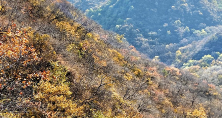 【北京一周一山·莲花滩 】休闲丨10公里丨童话森林里的漫步+奔向山谷秘境深处一线天+感受山野乐趣~