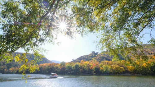 【北京一周一山·黄花城水长城】休闲级丨6公里丨观长城青灵俊秀+看满山层林浸染+翠绿、金黄、火红交织的绚丽秋色~