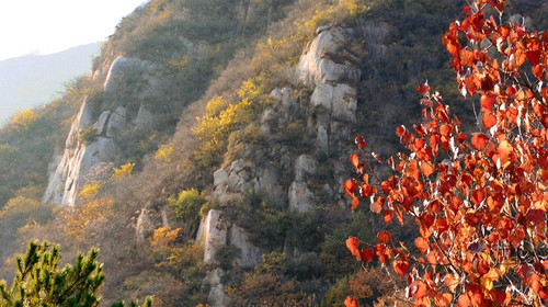 【北京一周一山·莲花滩 】休闲丨10公里丨童话森林里的漫步+奔向山谷秘境深处一线天+感受山野乐趣~