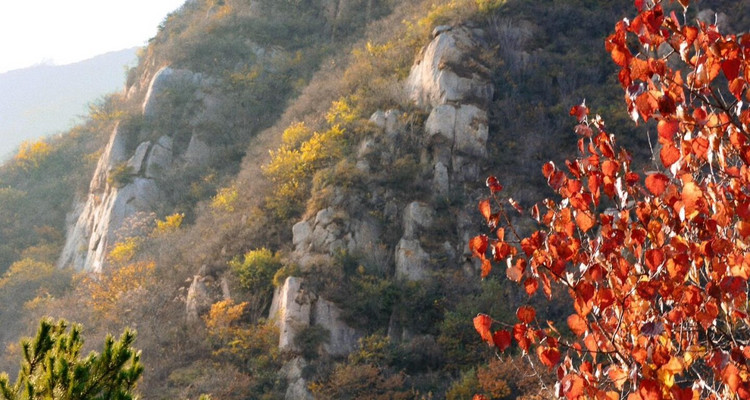 【北京一周一山·莲花滩 】休闲丨10公里丨童话森林里的漫步+奔向山谷秘境深处一线天+感受山野乐趣~