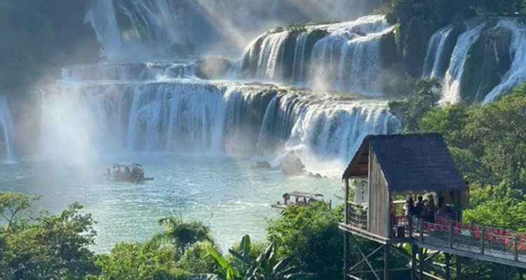 【浪漫广西·桂西南新发现6日】南宁进北海出+穿越中越边境+观测白头叶猴+雨林秘境徒步+海岛火山科考+砍香蕉体验+涠洲岛出海追鲸+篝火BBQ+休闲亲子6日游