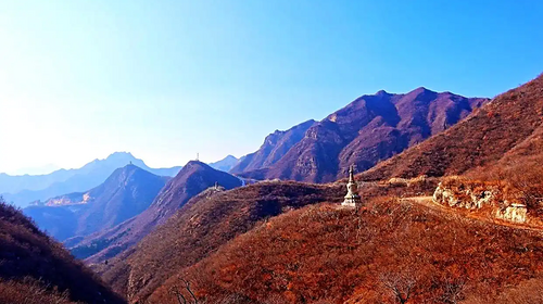 【北京一周一山·谷积山】初级丨12公里徒步丨探寻京西古道与佛寺遗迹+访灵鹫禅寺+摘野生柿子~