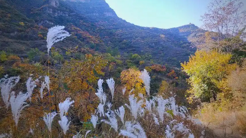 【北京一周一山·蚕姑坨】初级丨12公里丨探索"北方小张家界"的野性秘境：秋日红柿挂枝，南天门传说震撼人心+穿越自然与传说的壮丽画卷~