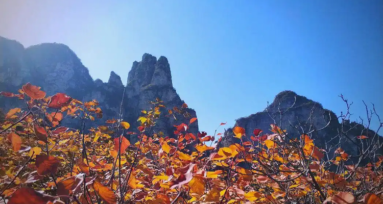 【北京一周一山·蚕姑坨】初级丨12公里丨探索"北方小张家界"的野性秘境：秋日红柿挂枝，南天门传说震撼人心+穿越自然与传说的壮丽画卷~