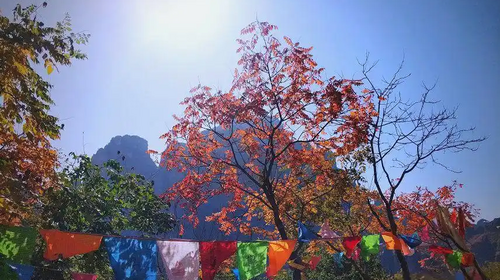 【北京一周一山·蚕姑坨】初级丨12公里丨探索"北方小张家界"的野性秘境：秋日红柿挂枝，南天门传说震撼人心+穿越自然与传说的壮丽画卷~