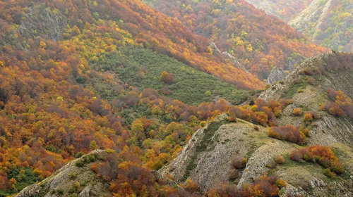 【北京一周一山·北灵山】初级丨10公里丨打卡京郊”阿勒泰“+踏浪高山草甸+邂逅云海+开启狂欢派对~