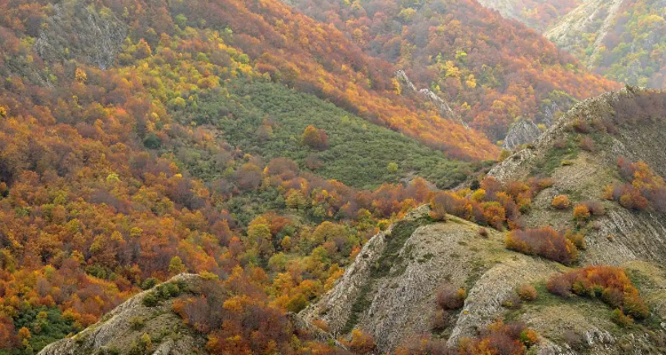 【北京一周一山·北灵山】初级丨10公里丨打卡京郊”阿勒泰“+踏浪高山草甸+邂逅云海+开启狂欢派对~