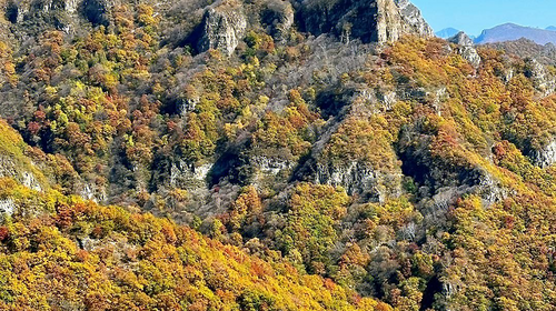 【北京一周一山·北灵山】初级丨10公里丨打卡京郊”阿勒泰“+踏浪高山草甸+邂逅云海+开启狂欢派对~