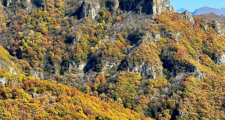 【北京一周一山·北灵山】初级丨10公里丨打卡京郊”阿勒泰“+踏浪高山草甸+邂逅云海+开启狂欢派对~