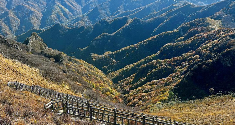 【北京一周一山·北灵山】初级丨10公里丨打卡京郊”阿勒泰“+踏浪高山草甸+邂逅云海+开启狂欢派对~