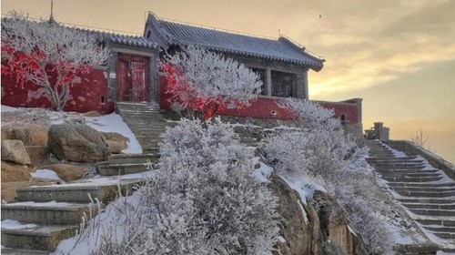 【夜爬泰山2日】难度可选丨夜爬东岳泰山+看日出观云海+闲游泉城济南