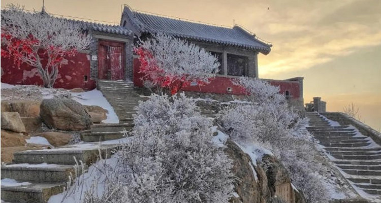 【夜爬泰山2日】难度可选丨夜爬东岳泰山+看日出观云海+闲游泉城济南