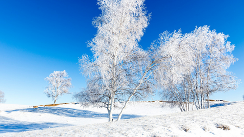 【乌兰布统冬·雪域新春4日】湖面冬捕+马踏飞雪+骆驼奔雪拍摄+崇礼冬奥小镇+游牧部落+美林谷+越野车穿越塞北+林海雪原漫步+篝火烟花+38人舒适团&私家团