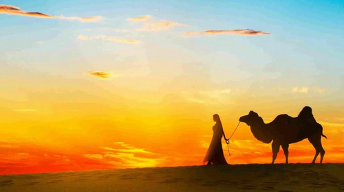 【遇见西北 · 河西四郡6日】乌鞘岭+天梯山石窟+雷台汉墓+张掖七彩丹霞+嘉峪关长城+大地之子+榆林窟+《又见敦煌》沉浸式演出+莫高窟+鸣沙山月牙泉+沙洲夜市+8人小车团&2-8人小包团