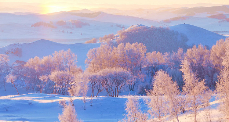 【乌兰布统冬·冰雪旅拍5日】10人旅拍小团+摄影领队+赠送航拍丨五钻酒店+雪域温泉+越野车穿越+多重冰雪体验+蒙古民俗+篝火烟花
