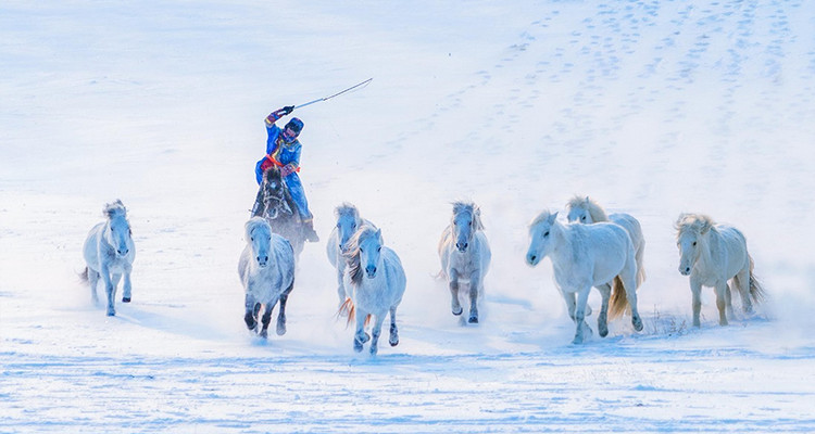 【乌兰布统冬·冰雪旅拍5日】10人旅拍小团+摄影领队+赠送航拍丨五钻酒店+雪域温泉+越野车穿越+多重冰雪体验+蒙古民俗+篝火烟花