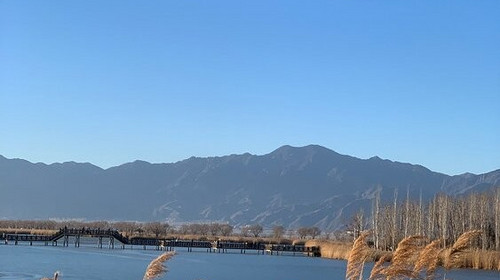 【北京一周一山·野鸭湖】京郊小洱海丨探秘华北湿地生态自然之美，领略野鸭湖的无尽魅力！