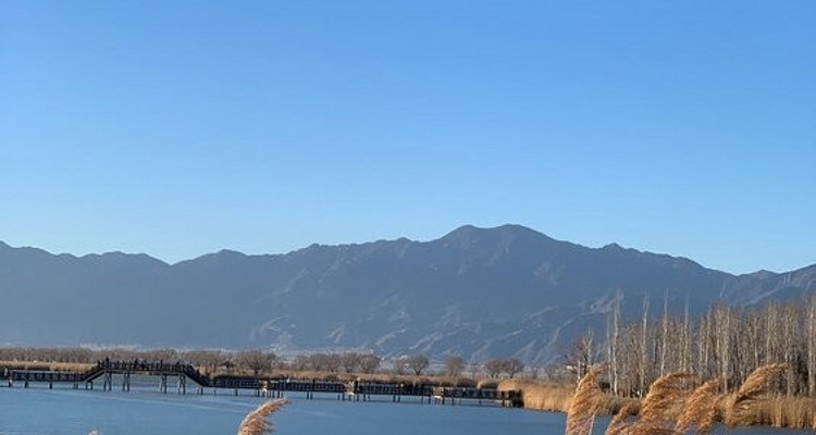 【北京一周一山·野鸭湖】休闲摄影丨6公里徒步丨蒹霞苍苍，白露为霜丨秋冬限定金色芦苇荡+闲逛永宁古城