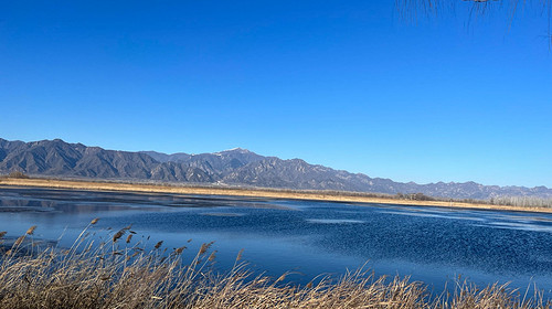 【北京一周一山·野鸭湖】京郊小洱海丨探秘华北湿地生态自然之美，领略野鸭湖的无尽魅力！