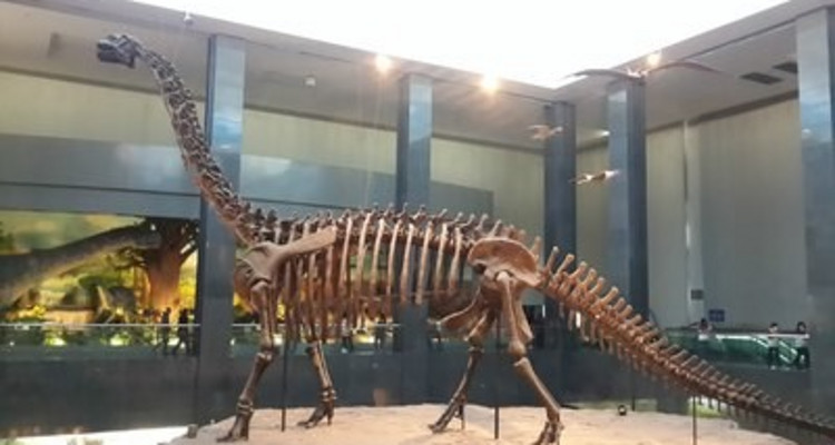 【邂逅内蒙·别样青城4日】呼和浩特+雪韵希拉穆仁草原+乌兰哈达火山+大召寺+内蒙古博物院+青城奶站+2-6人散拼&私家团！