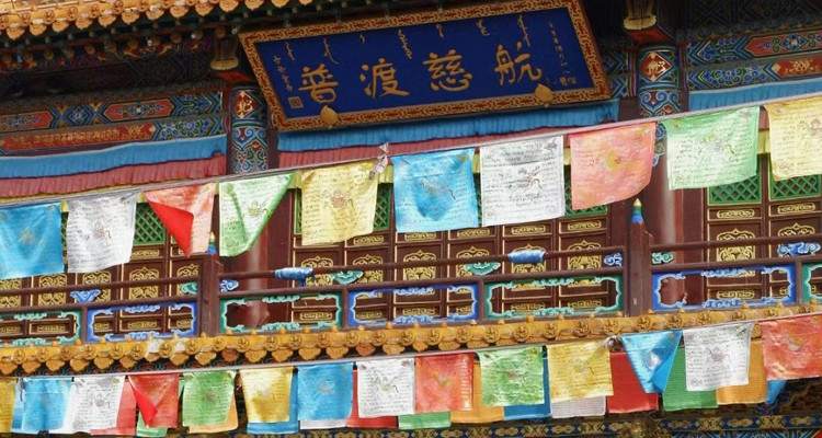 【邂逅内蒙·别样青城4日】呼和浩特+雪韵希拉穆仁草原+乌兰哈达火山+大召寺+内蒙古博物院+青城奶站+2-6人散拼&私家团！