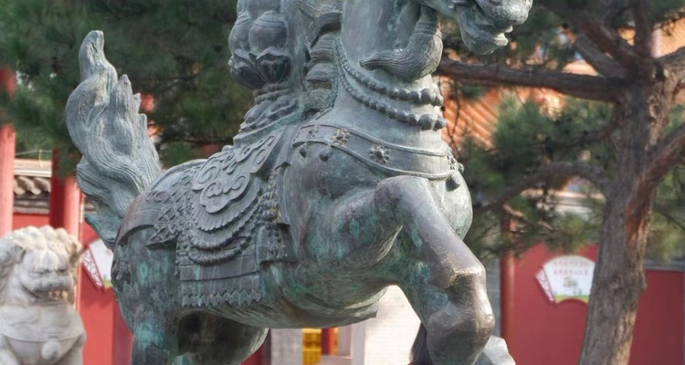 【邂逅内蒙·别样青城4日】呼和浩特+雪韵希拉穆仁草原+乌兰哈达火山+大召寺+内蒙古博物院+青城奶站+2-6人散拼&私家团！