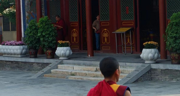 【邂逅内蒙·别样青城4日】呼和浩特+雪韵希拉穆仁草原+乌兰哈达火山+大召寺+内蒙古博物院+青城奶站+2-6人散拼&私家团！