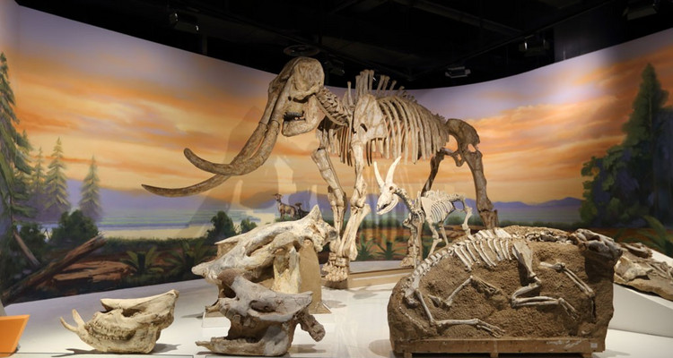 【邂逅内蒙·别样青城4日】呼和浩特+雪韵希拉穆仁草原+乌兰哈达火山+大召寺+内蒙古博物院+青城奶站+2-6人散拼&私家团！