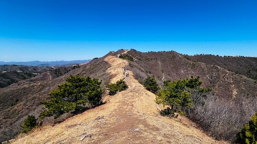 【北京一周一山·歪顶坨】初春探秘歪顶坨：金色山脊线+俯瞰环秀湖+美到窒息！
