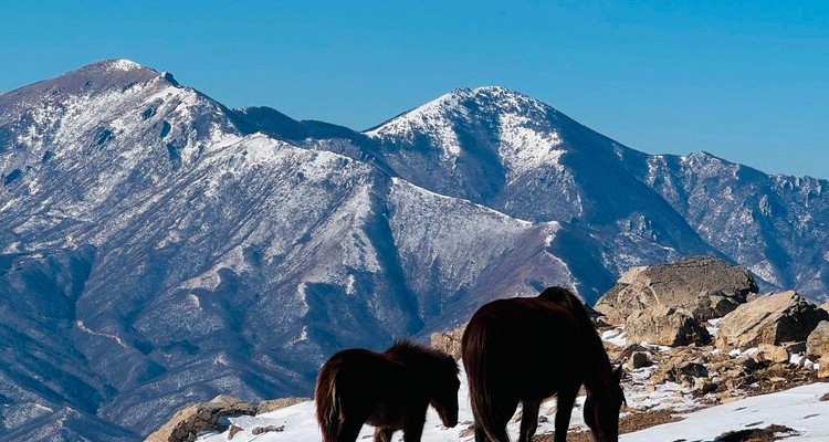 【北京100公里山野·东灵山站】探秘京西珠穆朗玛+挑战北京最高峰2303
