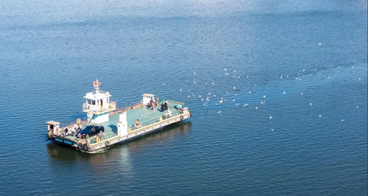 【“鸥”遇天津】休闲摄影丨冬日季节限定丨老码头邂逅西伯利亚海鸥+大梁子轮渡+滨海图书馆+东疆亲海公园赏落日余晖