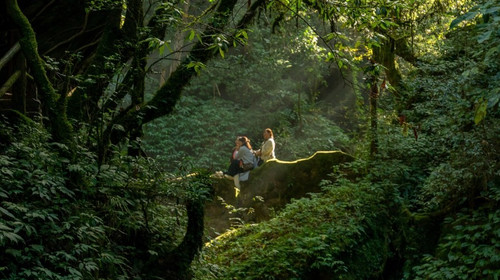【徒步华夏秋冬特辑 · 哀牢山站】哀牢山秘境徒步+石门峡徒步+元阳梯田徒步+哀牢山日出+多依树日出+南恩瀑布+建水古城+摄影师跟拍+5日徒步