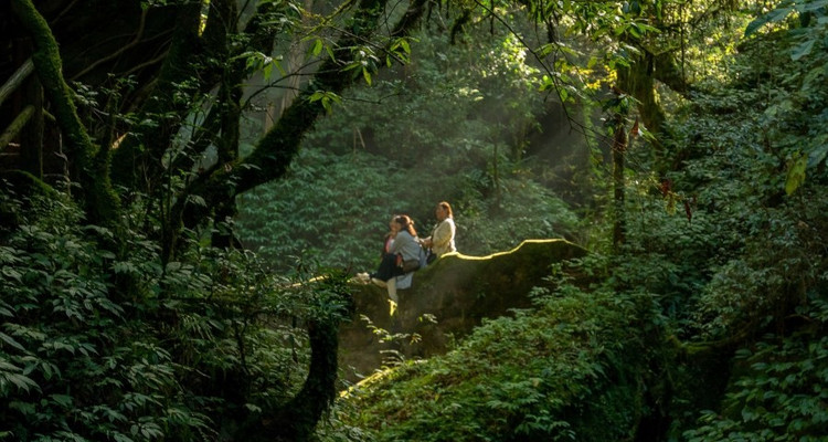 【徒步华夏秋冬特辑 · 哀牢山站】哀牢山秘境徒步+石门峡徒步+元阳梯田徒步+哀牢山日出+多依树日出+南恩瀑布+建水古城+摄影师跟拍+5日徒步