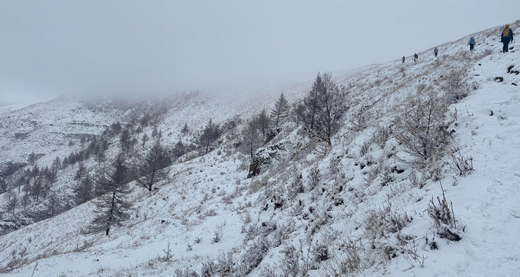【北京一周一山·麻田岭】探秘童话森林雪景+置身于北方的林海雪原+冬日徒步体验感满分！